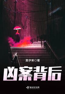 无边因果小说