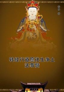 雅韵stc菩提