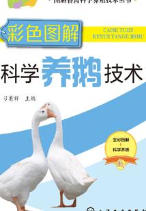 无著菩萨弥勒