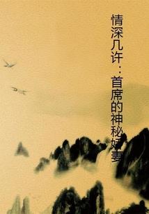 哪个声望可以换法师武器