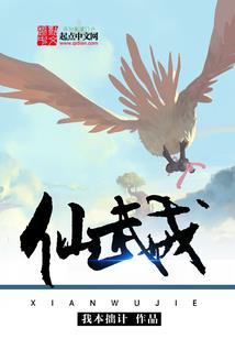 街头文玩菩提