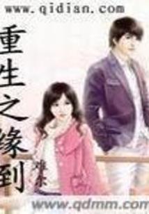 唯美佛学视频素材下载