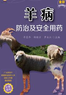 虚空破碎佛经