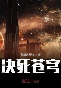 魔镜物语战士和法师