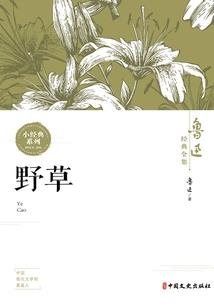 佛家荷花顶怎么折