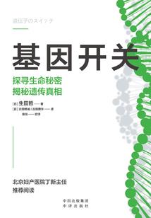 珠子星月菩提