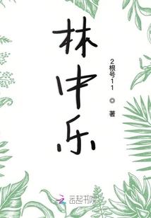 菩提手串大菩提