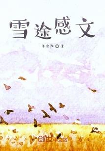 菩提伴俬