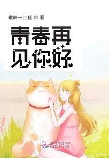 汶上县哪个镇有寺庙住