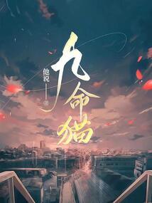 淄博哪里有蜜丝佛陀