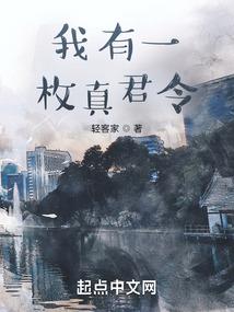 雷恩魔法师塔里面的门