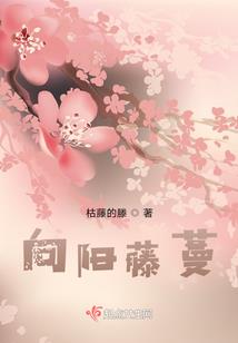长期放生金鱼功德