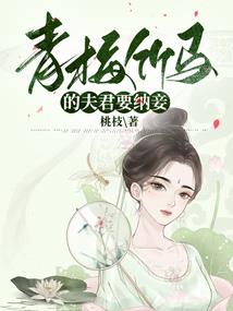 在家居士可以离婚么