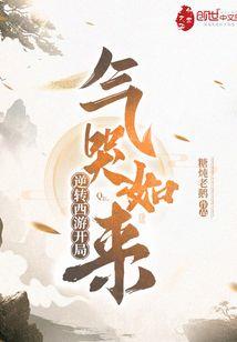 雅居士窗帘墙纸墙布