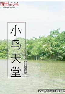 禅思佛教