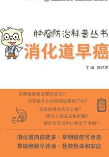阿弥陀佛接引居士