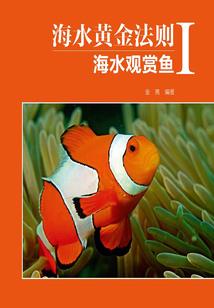 听王菲念金刚经