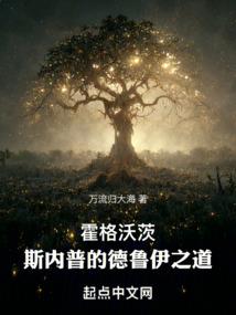 黑衣法师匕首