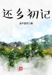 菩提精品图案