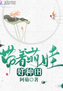 龙岩口碑好的铁观音茶厂
