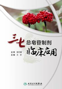 姐姐穿居士服给我看