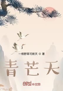佛家观道家心