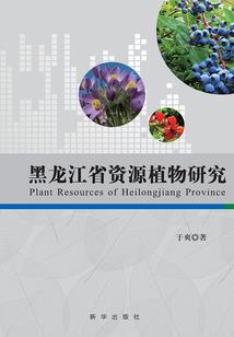 寺院买手串