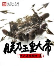 菏泽品质好的铁观音茶