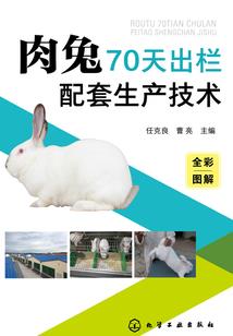 黑色沙漠机关寺院