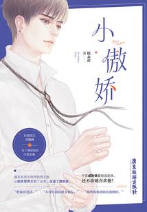 佛法视频制作干花相框