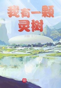 修行境界详细划分