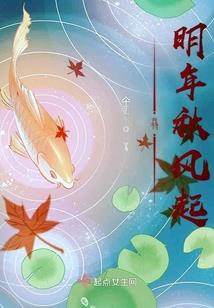 菩提果金包玉能保存多久