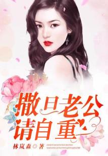 入境云南的南传佛教大师