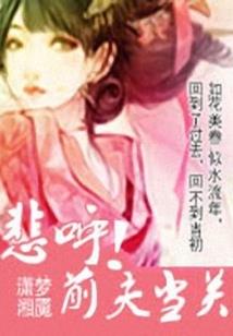 奥丁搭配魔法师