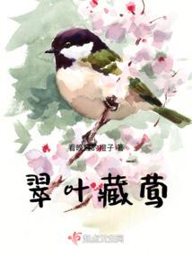 猫死后念金刚经可以吗