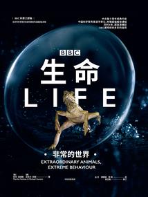 佛说行善无需人知