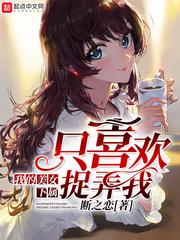 星月菩提藏式手持搭配