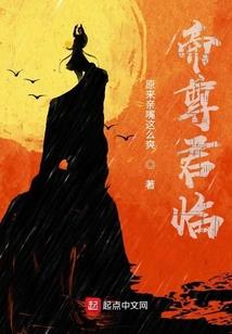 天意菩提子最大的图片