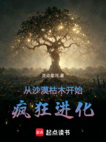 泰兴庆云禅寺多大