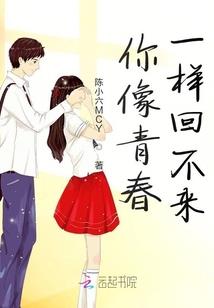 玉佛禅寺乔居士是谁