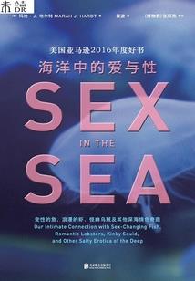 黑金菩提项链