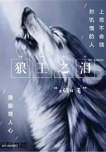 西双版纳寺庙功德书