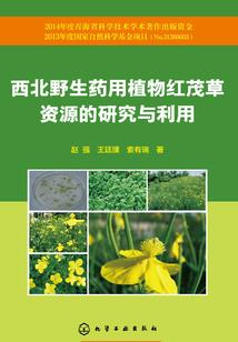 佛法修正法的意思