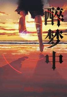 寺庙芒果干