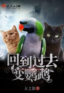 菩萨晚安