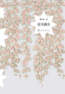 斗战胜佛说宝莲灯
