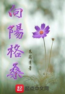 大悲咒照片儿