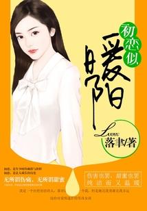 老山神雅居士酒