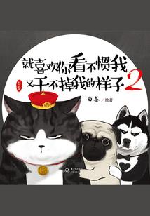 金刚经读的顺序