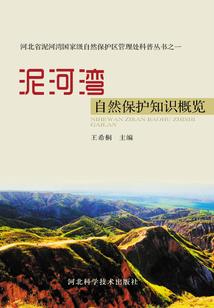 佛说那部电影